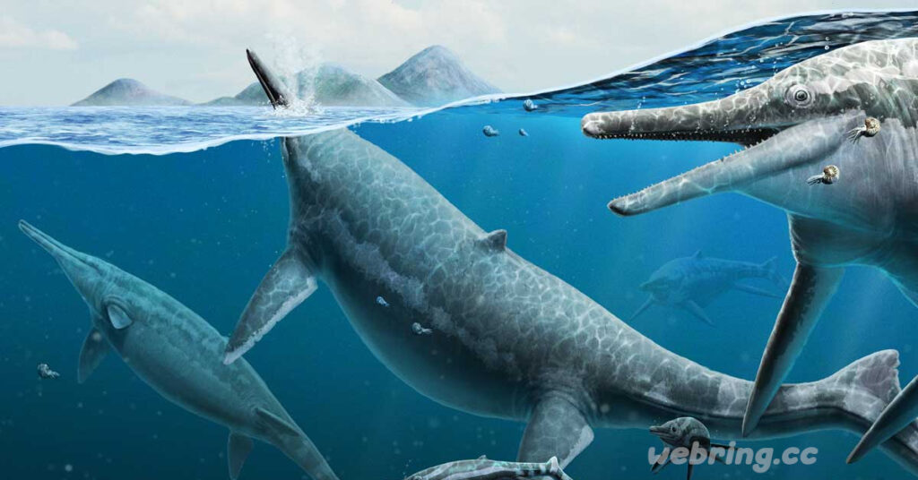 สุสาน ichthyosaur